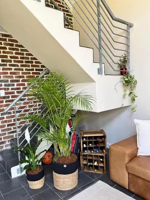 a living room with two potted plants and a staircase at Enchanted View from Above in Stellenbosch