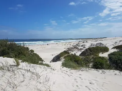 a beach with footprints in the sand and the ocean at Betty's Bay Quaint Cottage in Bettyʼs Bay