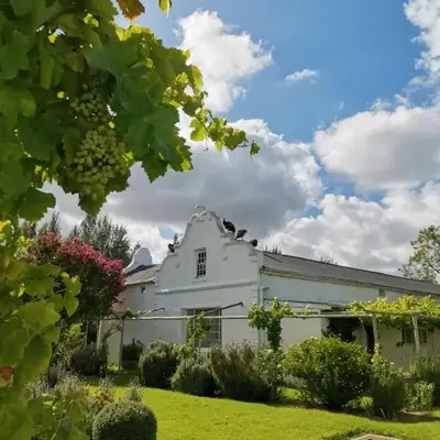 Morgenzon Farm