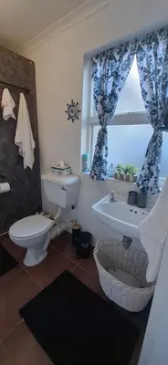 a bathroom with a toilet and a sink and a window at Grey Vine Cottage - Guest Room in Cape Town