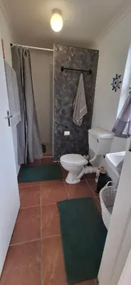 a bathroom with a toilet and a shower and a sink at Grey Vine Cottage - Guest Room in Cape Town