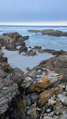 a beach with rocks and the water and the ocean at Whale Watchers studio in Hermanus
