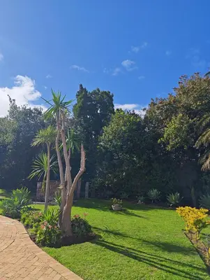 a palm tree in a yard with a grass field at Somerset west Stay 1 in Somerset West