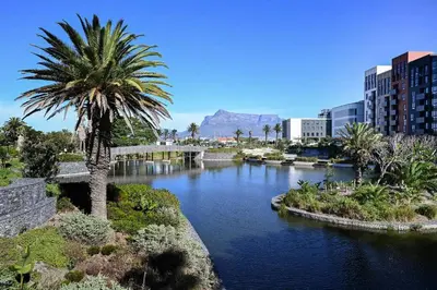 a river with a palm tree and a bridge at Luxury Three Bedroom Axis- Ocean and Mountain Views in Cape Town