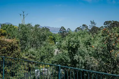 a group of trees with a fence in the foreground at On Helderberg in Somerset West