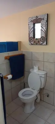 a bathroom with a white toilet and a mirror at 22 on Shiraz in Hoheizen