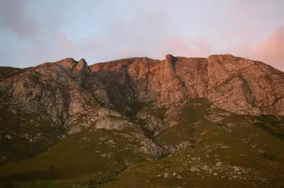 a large rocky mountain with flowers on it at PROVIDENCE VILLA -Tranquil, Neat & Private Cottage in Hermanus