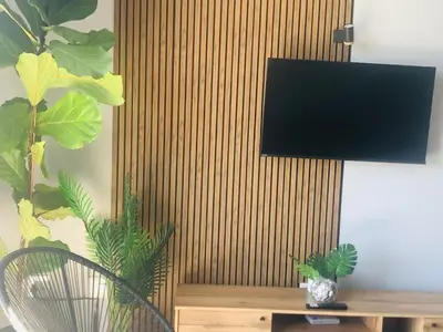 a living room with a tv and a table with a plant at Loft apartment by the lake in Cape Town