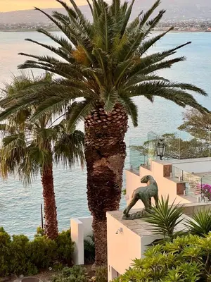 a statue of a dinosaur standing next to a palm tree at Whale Watchers Gordons Bay in Gordonʼs Bay