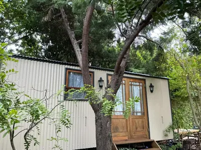 a house with a tree in front of it at Swallows Cottages in Hermanus