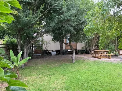 a yard with a picnic table and two trees at Swallows Cottages in Hermanus