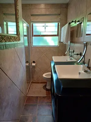 a bathroom with a sink and a shower and a toilet at A Jungle House in Somerset West