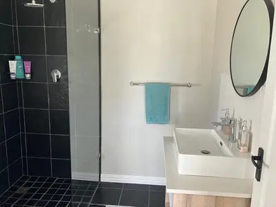 a bathroom with a sink and a shower with a mirror at Little Nest Self-Catering in Hermanus