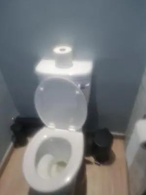 a bathroom with a toilet with a roll of toilet paper on it at Mikasa Cukasa Geust House in Gordonʼs Bay