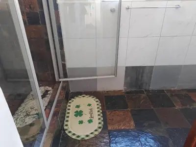 a bathroom with a shower and a rug on the floor at Duminy Guest Lodge in Bellville