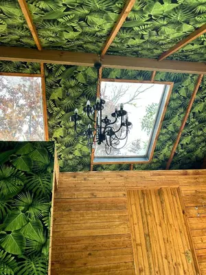 a chandelier hanging in a room with a green wall at Blossom Cottage, Elgin Grabouw in Grabouw