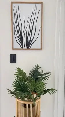 a plant in a basket on a wall with a picture at 2 bed Luxury apartment living in Cape Town