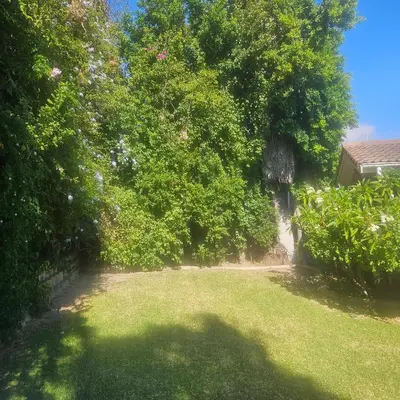 a yard with trees and grass and a house at Mimi's in Plattekloof