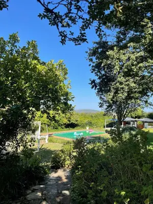a swimming pool in a yard with trees at Green Cottage, Elgin Grabouw in Grabouw