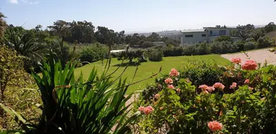 a garden with a field of grass and flowers at Protea-Sabr in Sir Lowry Pass