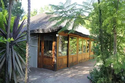 a house with a large wooden door in a forest at Timeless at Rusticana in Klapmuts