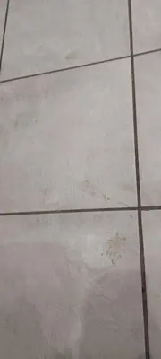 a concrete sidewalk with cracks in it at self-catering in Gordonʼs Bay