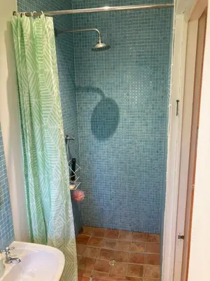 a bathroom with a shower curtain and a sink at Cozy garden Guest Suite in charming Claremont in Cape Town