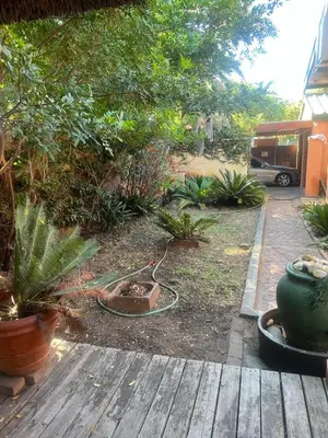 a garden with potted plants on a wooden deck at triplediz in Blackheath