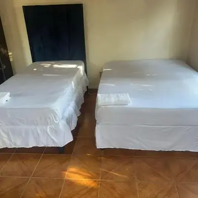triplediz