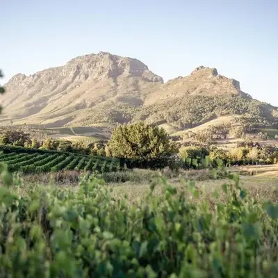 Le Pommier Wine Estate