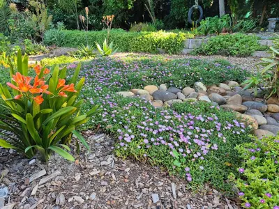 a garden with purple and pink flowers and rocks at Mistys Apartment Durbanville in Durbanville