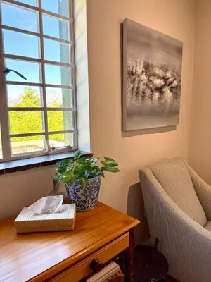 a living room with a chair and a table with a plant at Sevilo Farmhouse in Stellenbosch