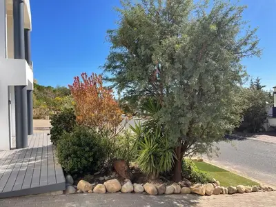 a tree in a garden next to a street at Apartment in Gordon's Bay in Gordonʼs Bay