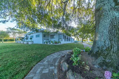 a house with a tree and a brick driveway at LEO Sky Guest House in Simondium