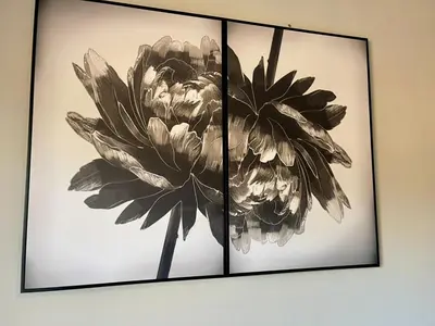 three framed pictures of flowers on a wall at 18 On 40 North in Cape Town