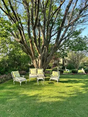 three chairs sitting in the grass under a tree at Rose Cottage, Elgin Grabouw in Grabouw