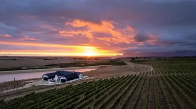 a house in a field with the sunset in the background at Hermanus - Escape Wines - House on Wine & Protea farm in Lake Marina