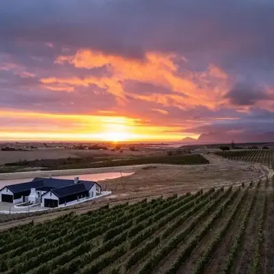 Hermanus - Escape Wines - House on Wine & Protea farm