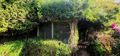 a garden with a bunch of plants and flowers at Tuinvrede Guesthouse in Welgemoed