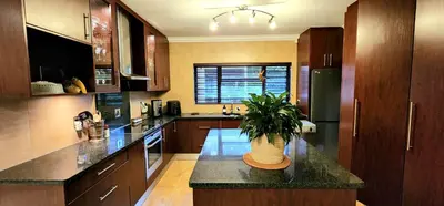 a kitchen with a potted plant on a counter at Tuinvrede Guesthouse in Welgemoed