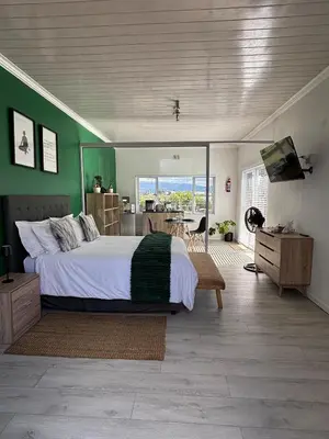 a bedroom with a bed and a green wall at Jacana Lodge Zeekoevlei in Lotus River