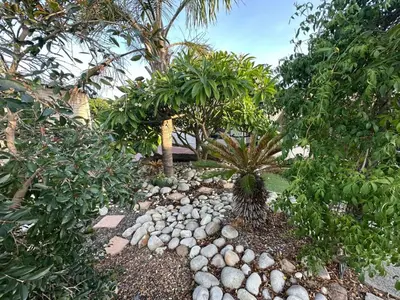 a garden with rocks and trees and palm trees at Suite Dreams Adorable One Bedroom Apartment in Panorama