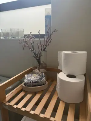 a bathroom with a toilet and a vase on a table at Little Haven in Kenridge