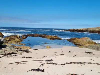 a beach with a hole in the sand and the ocean at Thalassa in Bettyʼs Bay