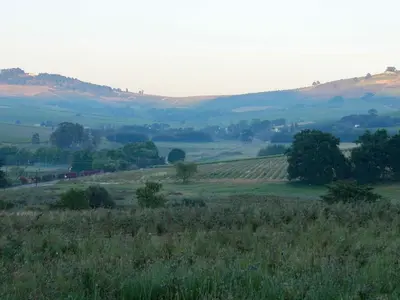 a grassy field with trees and hills in the background at Gilgal Guest Accommodation in Onder-Papegaaiberg