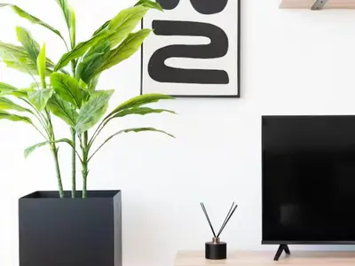 a plant in a black vase next to a tv at Atticus Self Catering Accommodation in Cape Town