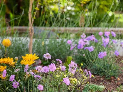 a garden filled with colorful flowers in a garden at 5 Rembrandt Guesthouse in Somerset West