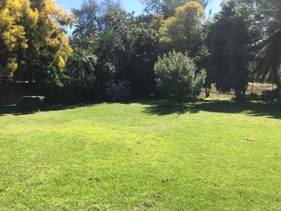a field with a cow standing in the grass at River Front in Stellenbosch