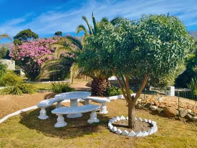 a picnic table and a tree in a park at Into the Sunset Manor in Gordonʼs Bay