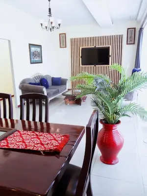 a living room with a table and a plant in a vase at Ngena Sleep and Go Goodwood in Goodwood